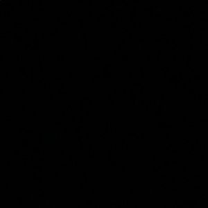 Meet your Posher, Aaquantay